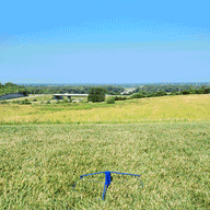 GrowTheSport Pro Disc Golf Basket