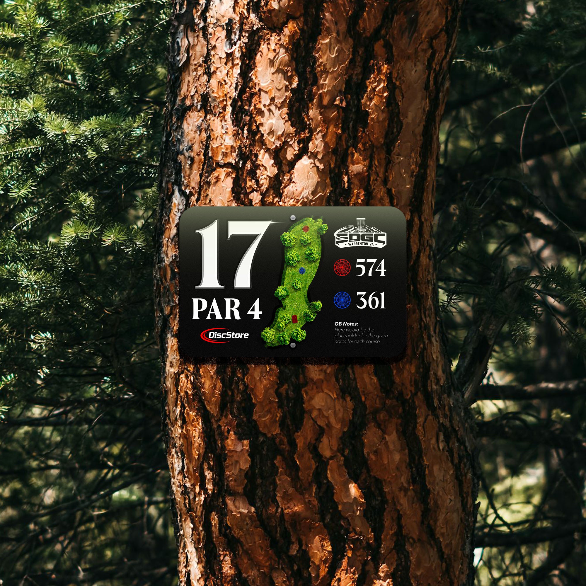 Disc Golf Advanced Course Signage