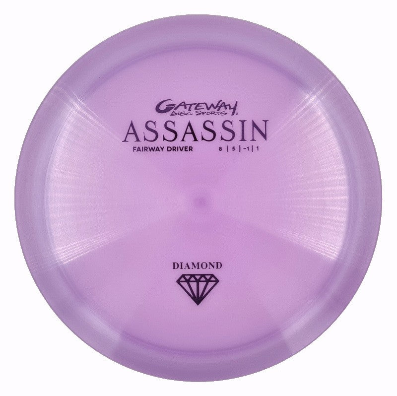 Gateway Assassin