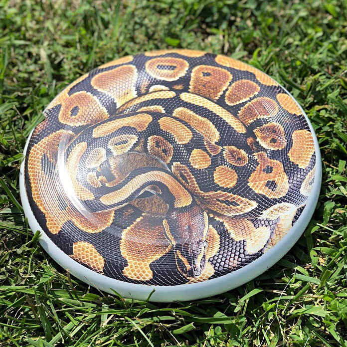 Snake Supercolor Discraft Ultra-Star