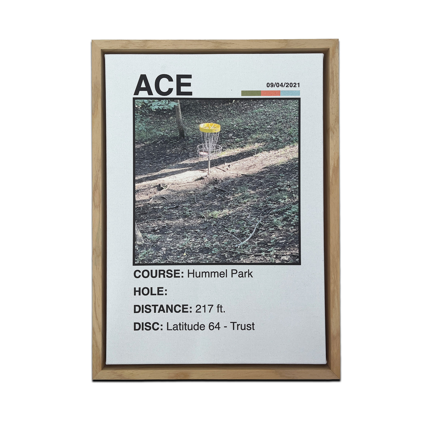 Disc Store Personalized ACE Canvas Sign