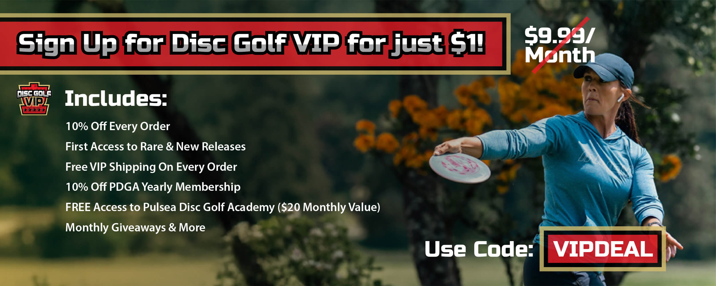BEST Prices on Everything Disc Golf · Disc Store