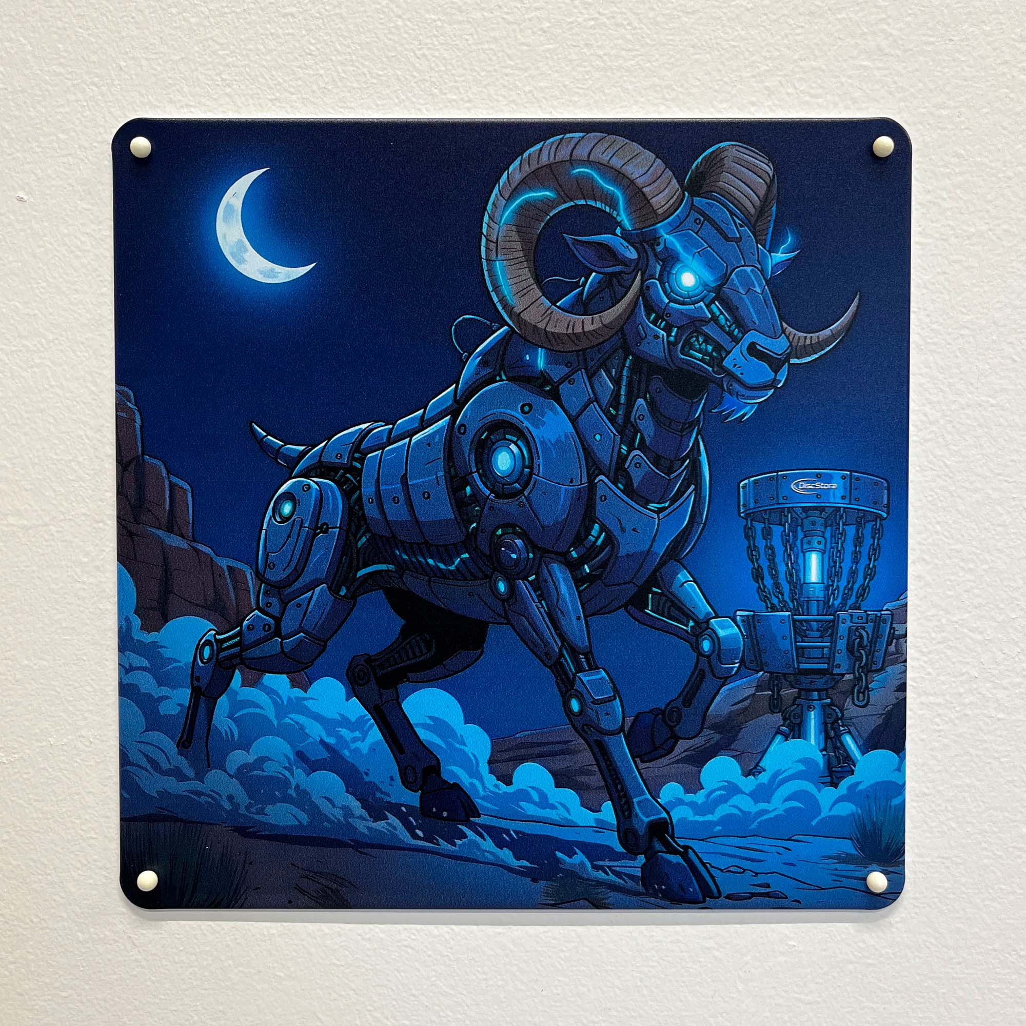 Disc Golf Metal Wall Art Signs