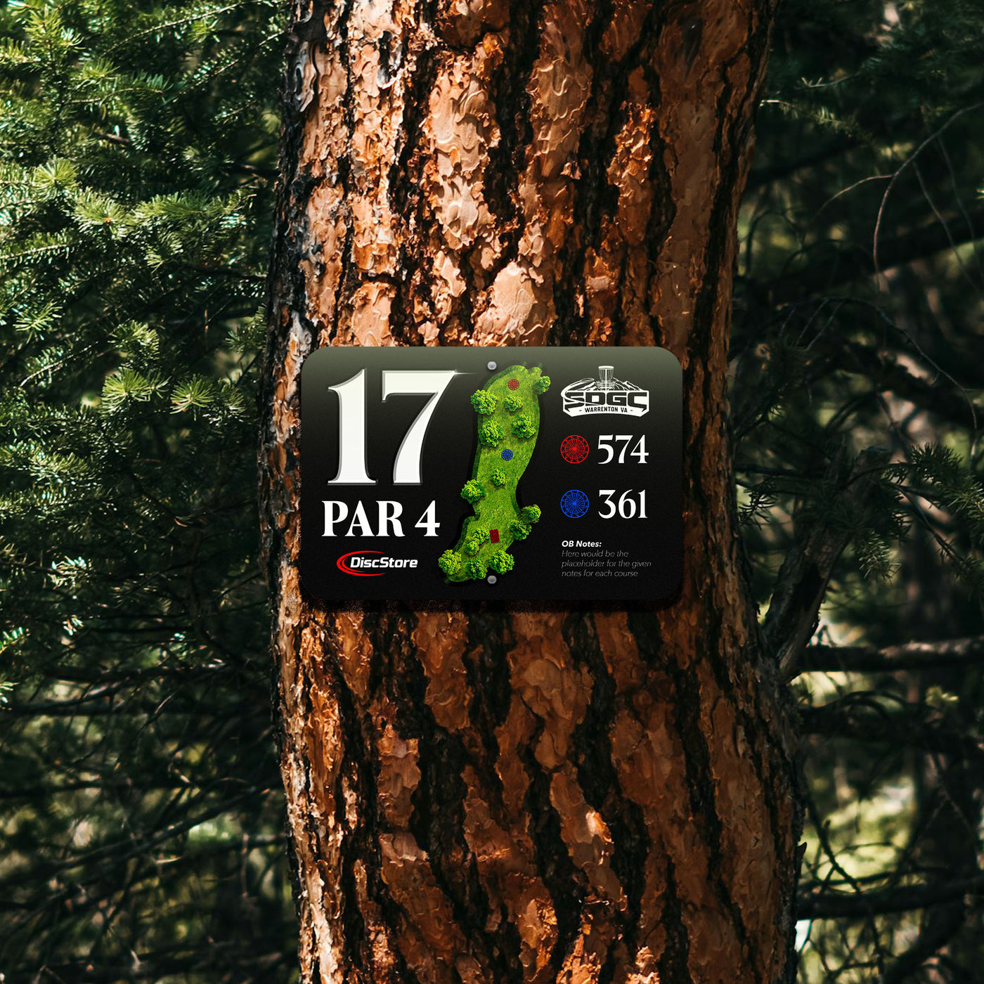 Disc Golf Advanced Course Signage