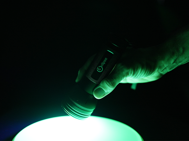 MVP Large UV Flashlight