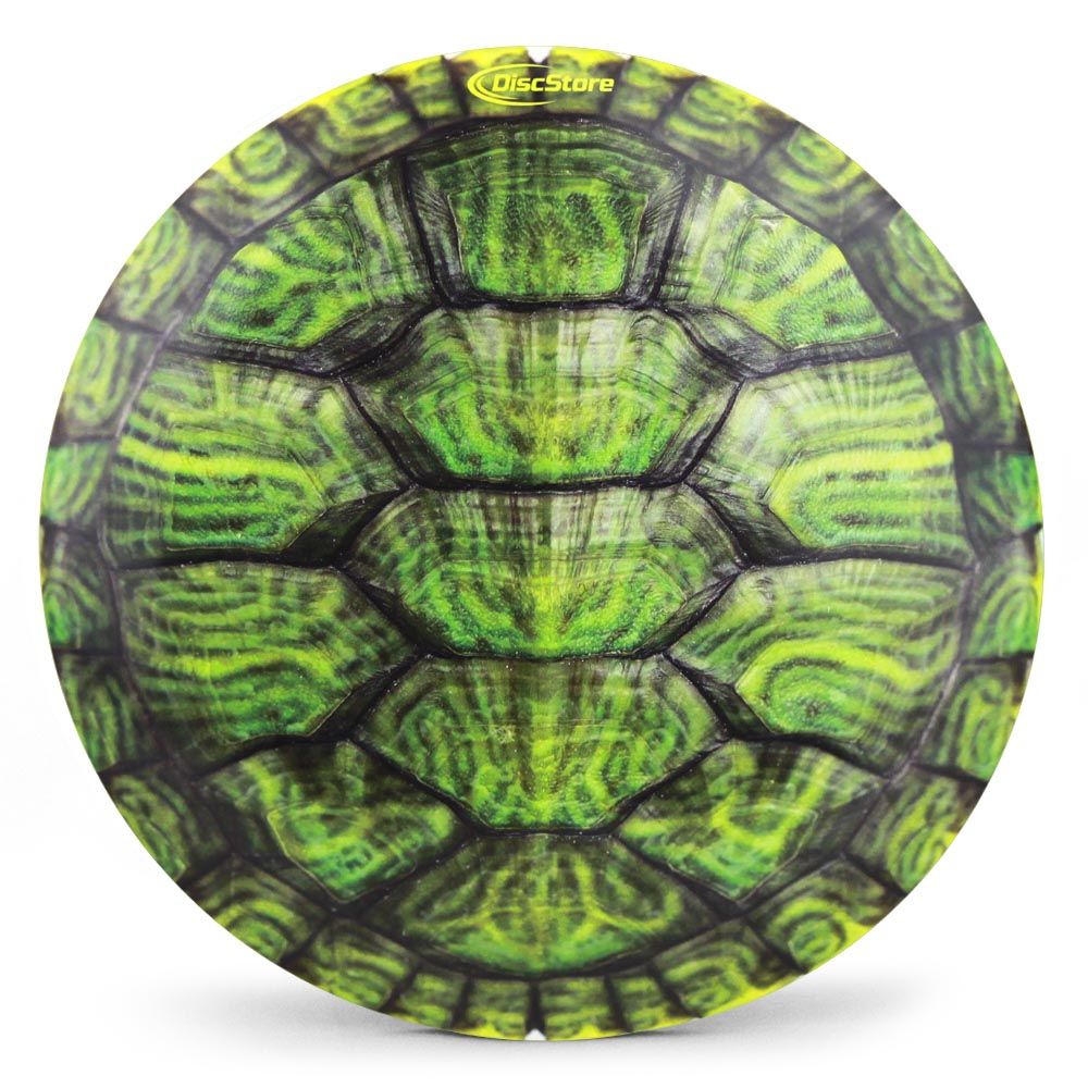 Turtle Color Shell